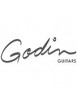 GODIN