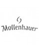 MOLLENHAUER