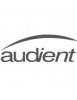 AUDIENT